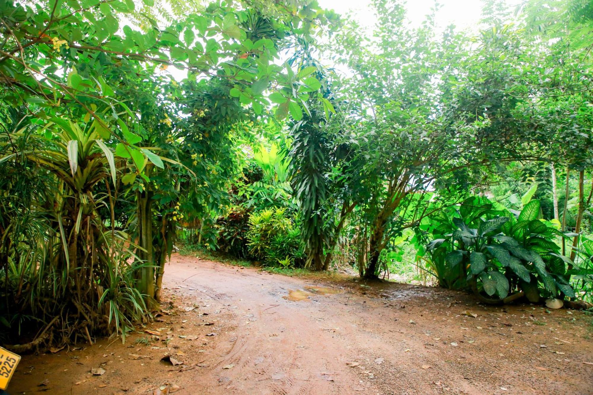 Leo Homestay Dikwella Exterior foto