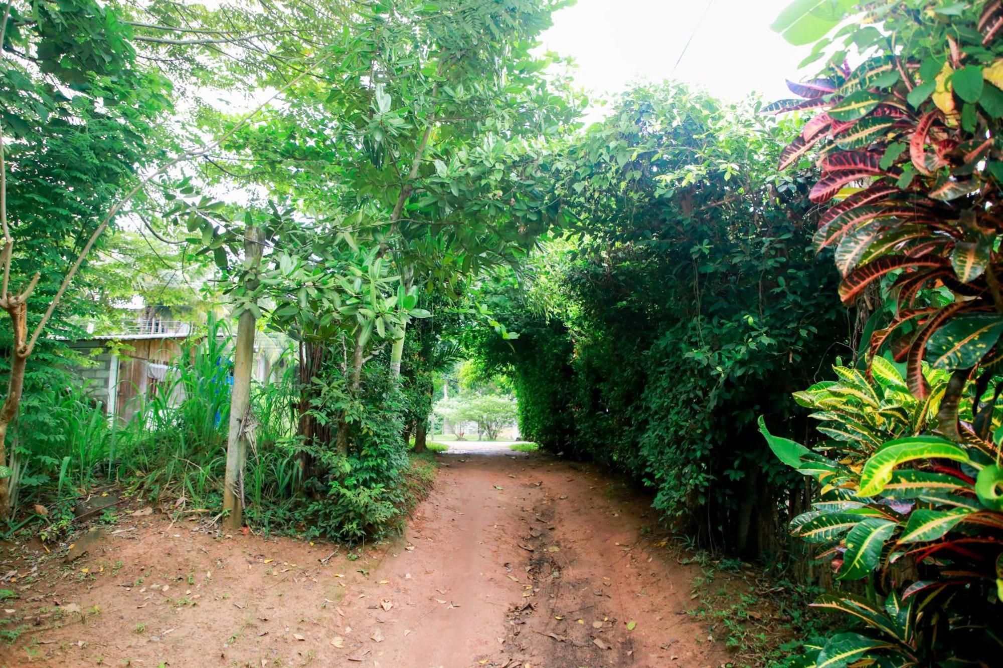 Leo Homestay Dikwella Exterior foto